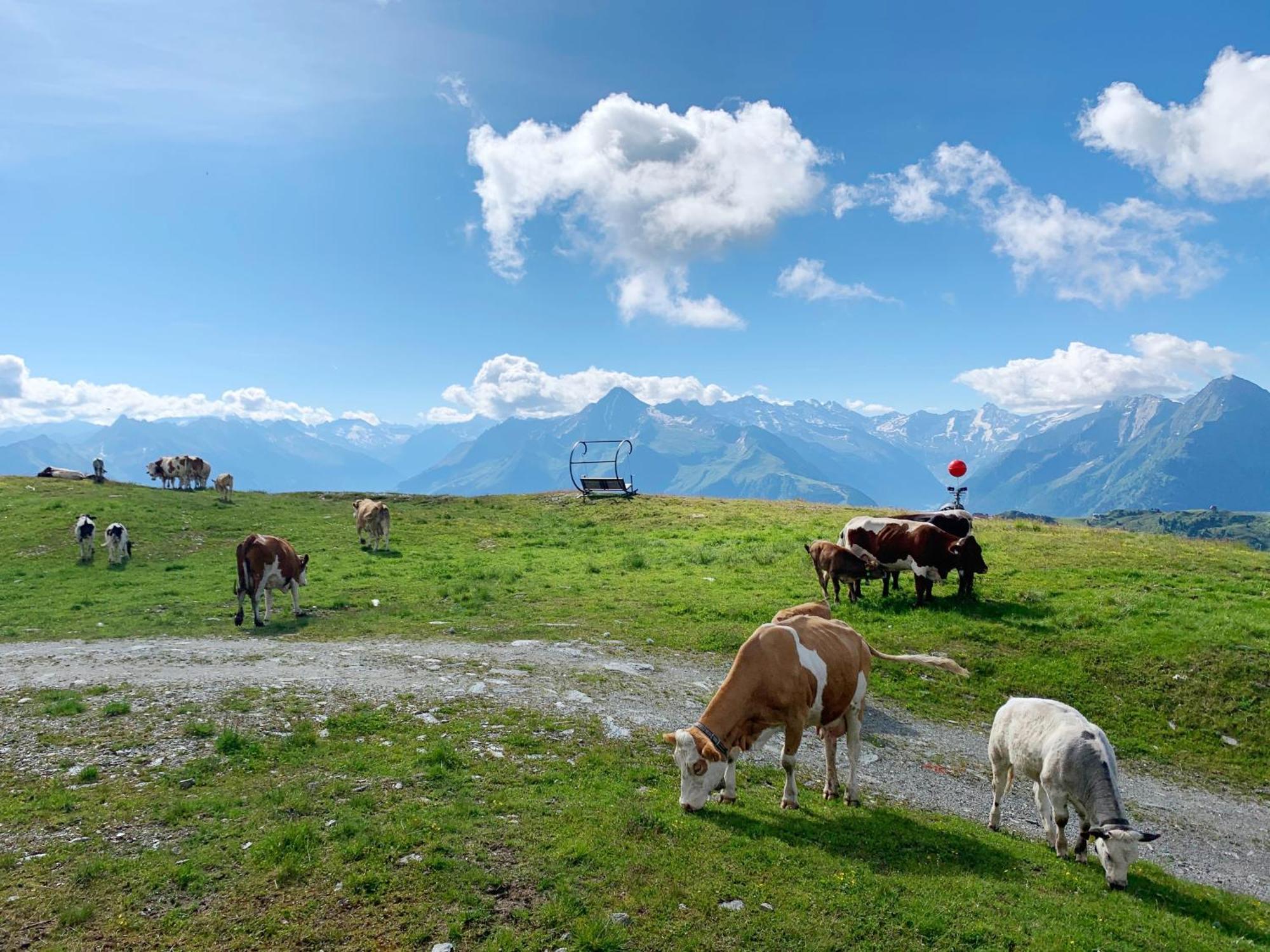 Schneekarhuette Hotel Mayrhofen Kültér fotó