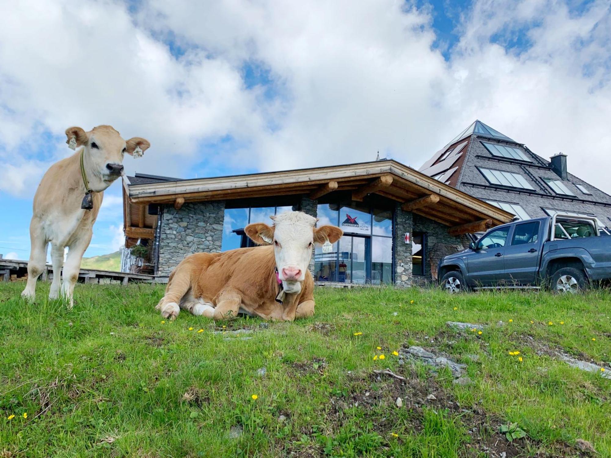 Schneekarhuette Hotel Mayrhofen Kültér fotó